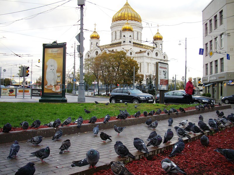 Квартиры на Пречистенке